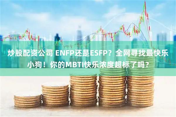 炒股配资公司 ENFP还是ESFP？全网寻找最快乐小狗！你的MBTI快乐浓度超标了吗？
